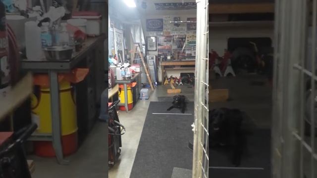 Clatter stick training смотреть онлайн