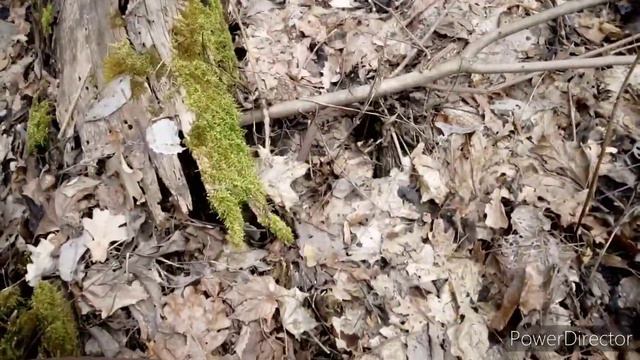 Металл.. Весной самое лучшее время.. смотреть онлайн