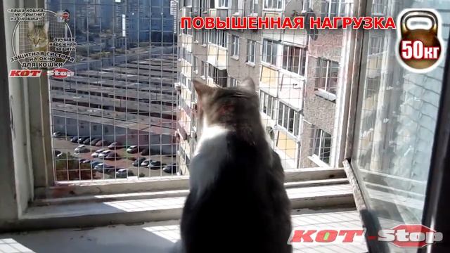 ✅ Сетка Решетка антикошка от падения кошек из окон КОТ-Stop. НА ДЕРЕВЯННОЕ КУХОННОЕ ОКНО Заказ 3177