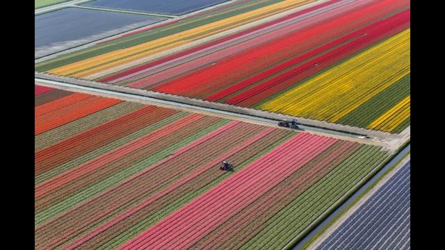 Мальчик и клетчатая ткань / Сказкотерапия 3 / Читаю вслух знаменитую сказку смотреть онлайн