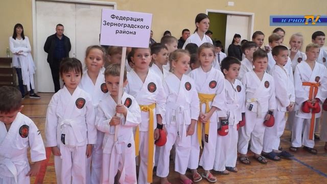 Чемпионат Ростовской области по каратэ-до «Сётокан» в Зерноградском районе смотреть онлайн