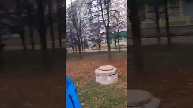 Всех с выходным днём! смотреть онлайн