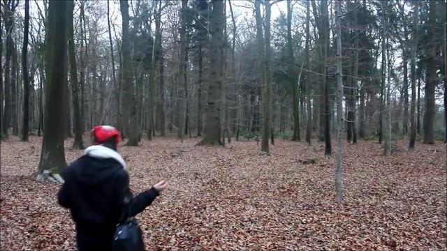 Kunst Projekt- Rotkäppchen