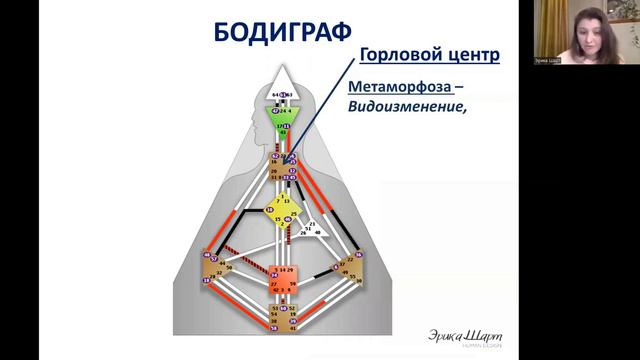Урок №2 Наше уникальное самовыражение. Дизайн Человека. Human Design смотреть онлайн