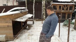 Вольерное содержание кроликов ( плюсы и минусы).