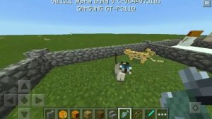 Как приручить кота в Minecraft PE