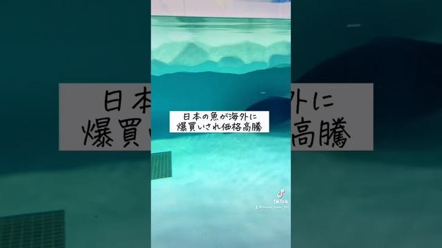 大悲報！円安で日本人が失ったもの -3選- #投資 #株式投資 #円安 #日本株 смотреть онлайн