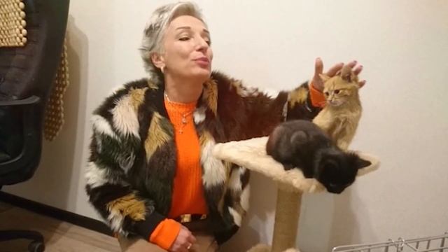 Малыши были найдены на улице совсем одни. Антошка и Барбара нуждаются в доме и в любящих хозяевах! смотреть онлайн