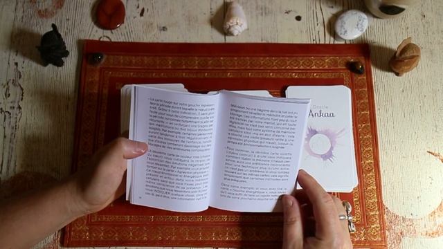 L'oracle d'Ankaa #review смотреть онлайн