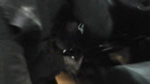 Nissan X-Trail T-31.Замена моторчика печки