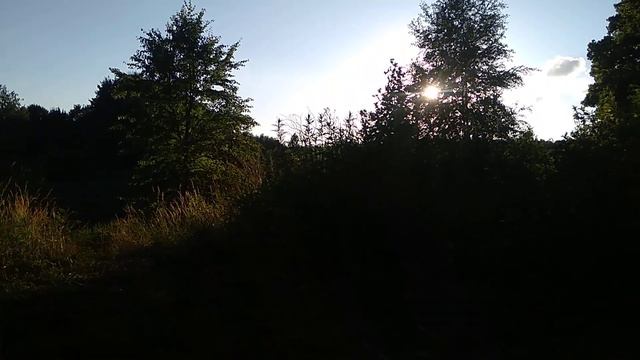 Вечер у реки смотреть онлайн