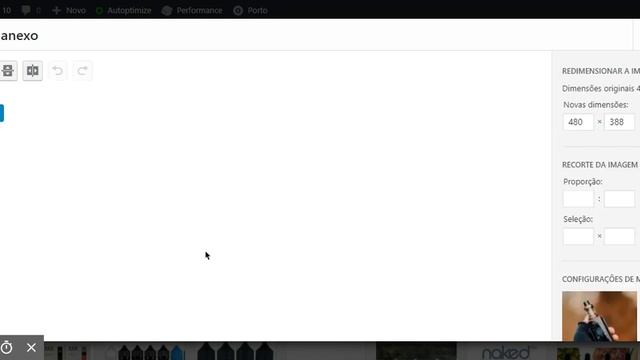 Edição simples de foto no WordPress: corte de imagem смотреть онлайн