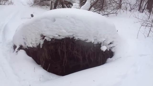 ПВД в с.Котово смотреть онлайн