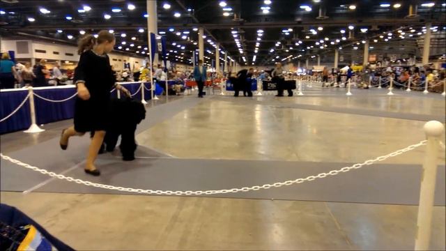 Dani Houston July 2014 смотреть онлайн