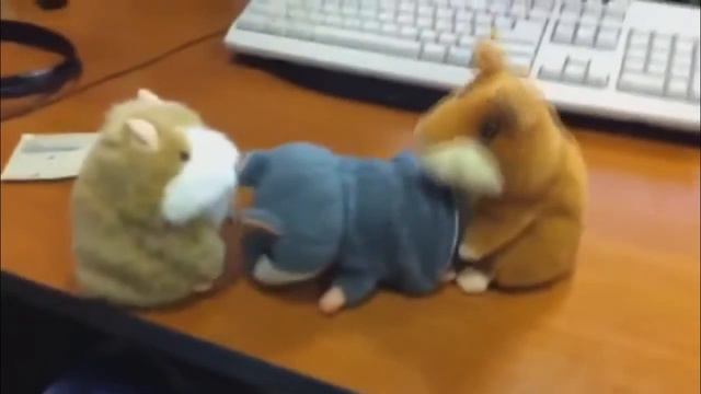 Говорящий хомяк повторюшка! Действует СКИДКА! смотреть онлайн