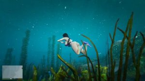 Девушка в море