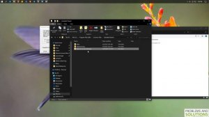 Solutions to the «flexnet license finder» problem
