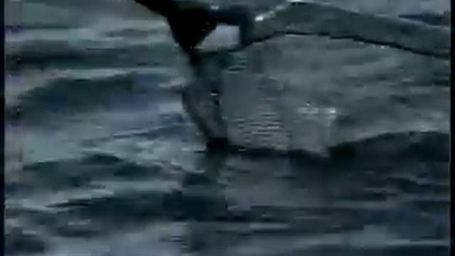 Диалоги о рыбалке ужения щуки на спиннинг 1.flv смотреть онлайн