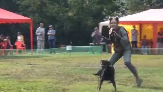 Меньшикова Анастасия & Пифагор "Крысиные будни" смотреть онлайн