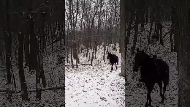 Конный клуб "Орленок" смотреть онлайн