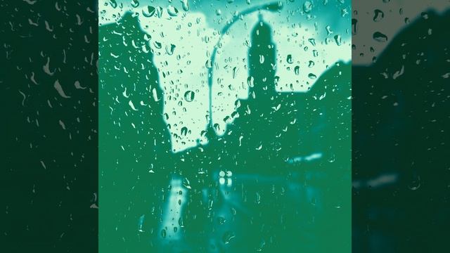 Чувство (Бури)