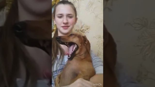 🌻 если ты можешь мечтать об этом, ты можешь это сделать, Уолт Дисней 🌻 смотреть онлайн
