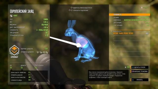 Добыл Зайца Бриллиант в Куатро Колинас | the Hunter Call of the Wild смотреть онлайн