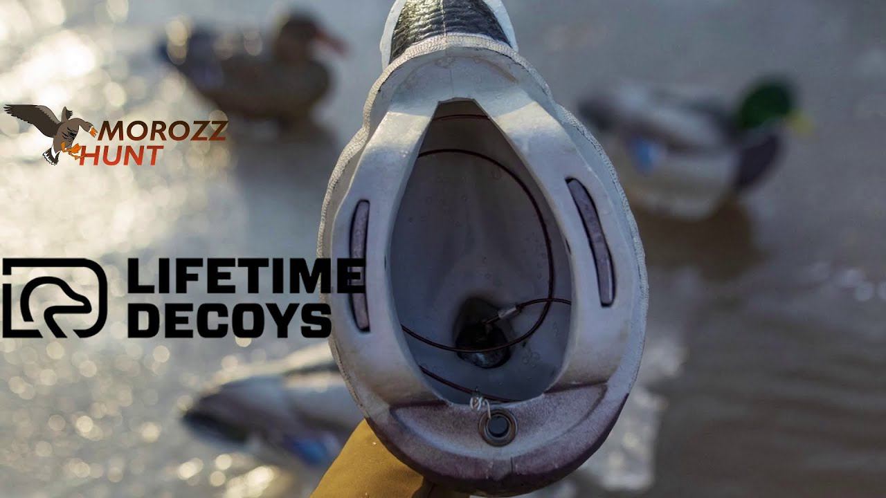 Чучела кряквы Lifetime Decoys уже в России!