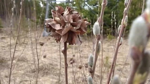 А ты знаешь, чего не может Бог? смотреть онлайн