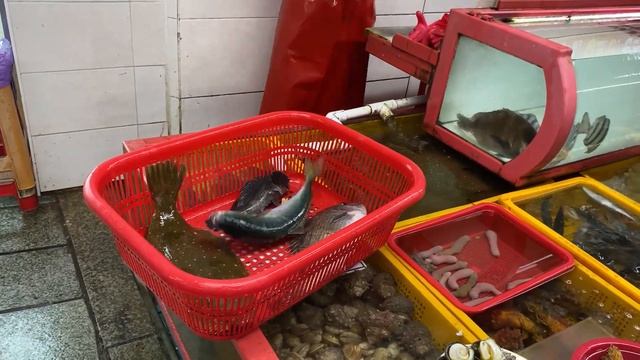 Рынок морепродуктов в Корее. Они это едят? смотреть онлайн