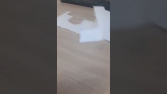 как сделать бингуса из бумаги смотреть онлайн