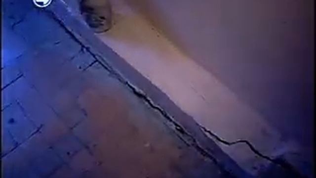 VTS 04 1 смотреть онлайн