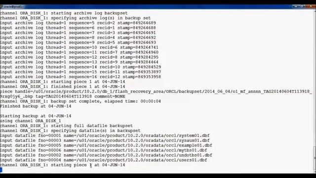 RMAN Part 1 Introduction смотреть онлайн