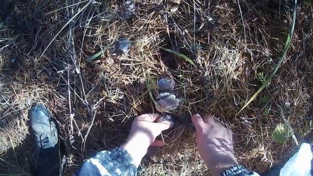 Путешествие в лес в ноябре. Мышата, бедный Йорик и прочие там чубайсы смотреть онлайн