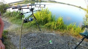 Как поймать сома . Ловля Канадского сомика . Ловля сома Беларусь . Забродье . Деревное.Сом Беларусь