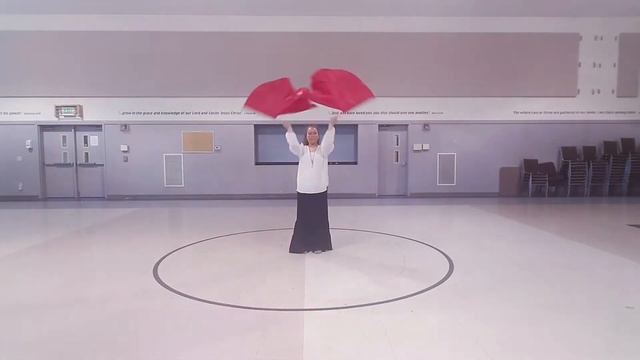 Carlos Perdomo - King of all the Earth Flag Routine смотреть онлайн
