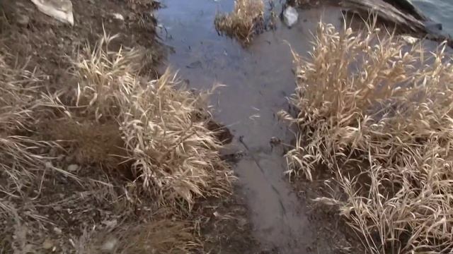 Ловля раков в конце февраля и тест поискового магнита(Дневник рыболова) смотреть онлайн