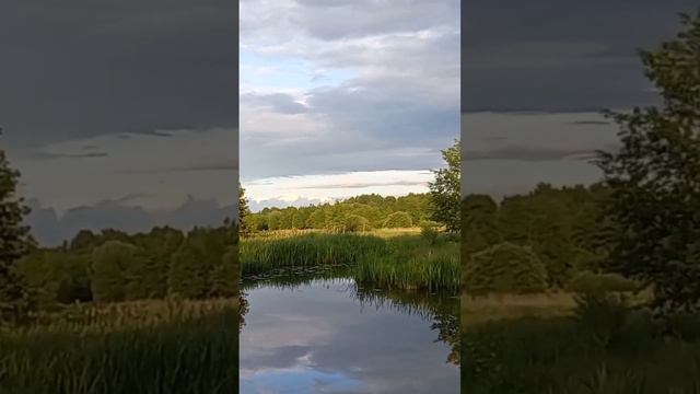 Звуки природы. Природа, рыбалка, красота. 😁 смотреть онлайн