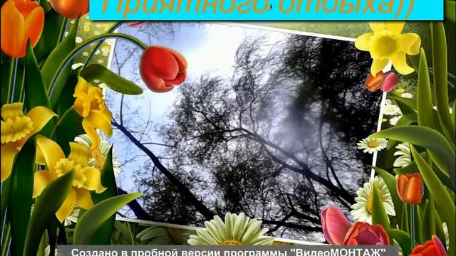 RELAX SLEEP 1 ЧАС ЗВУКИ ПРИРОДЫ ШУМ ВЕТРА ПЕНИЕ ПТИЦ смотреть онлайн
