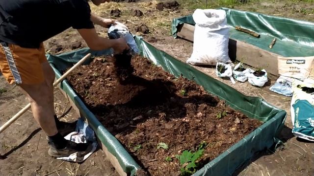 высадка клюквы смотреть онлайн