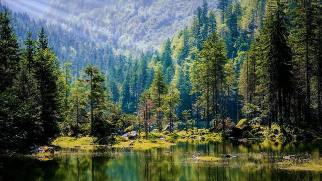 Ухожу из темы воздержания. Продержался 44 дня. смотреть онлайн