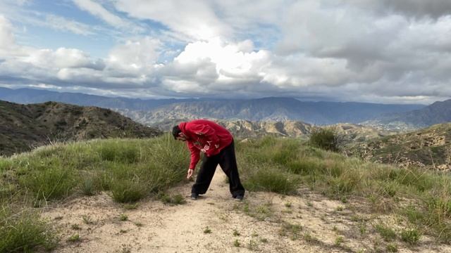Qigong. Ицзиньцзин Цигун