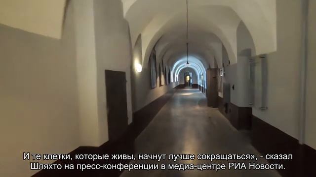 В центре Алмазова исследуют возможности стволовых клеток смотреть онлайн