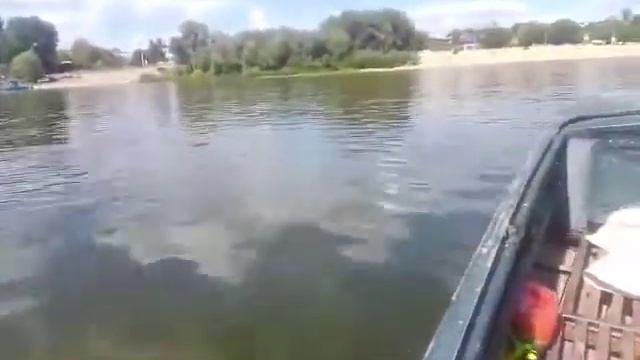 Suzuki DT-8+фрегат 290 смотреть онлайн