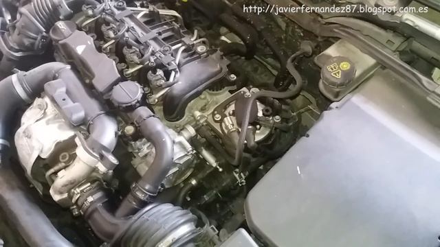 Cambio EGR - Cambiar Discos Y Pastillas - Ford Focus MK II - 2008