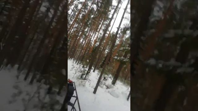 Мотобуксировщик по глубокому снегу в лесу. смотреть онлайн