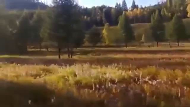 Здравствуй моя родина Нерчинский Завод смотреть онлайн