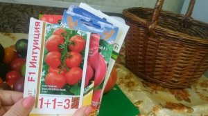 Вкусные и урожайные томаты для теплиц.Томаты Йетина мать.Лось F1.