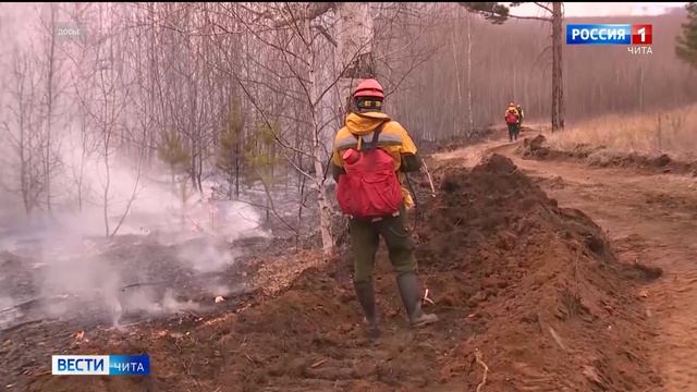 Три лесных пожара действуют в Забайкалье смотреть онлайн