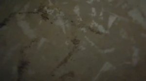 Стяжка и затирка пола